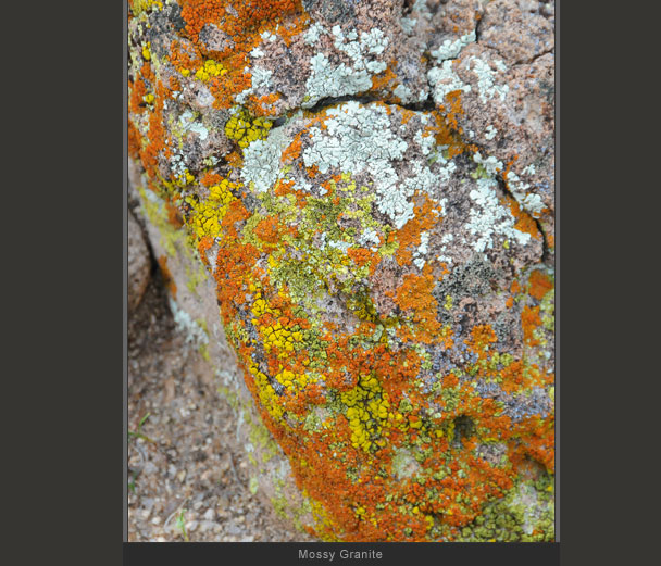 Mossy Granite